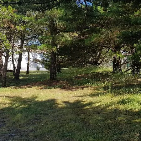 Détente à La *