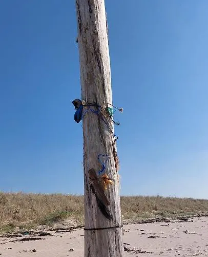 Appartement Détente à La *