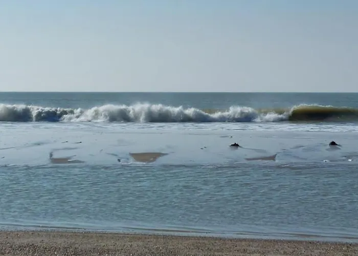 Lägenhet Detente A La *